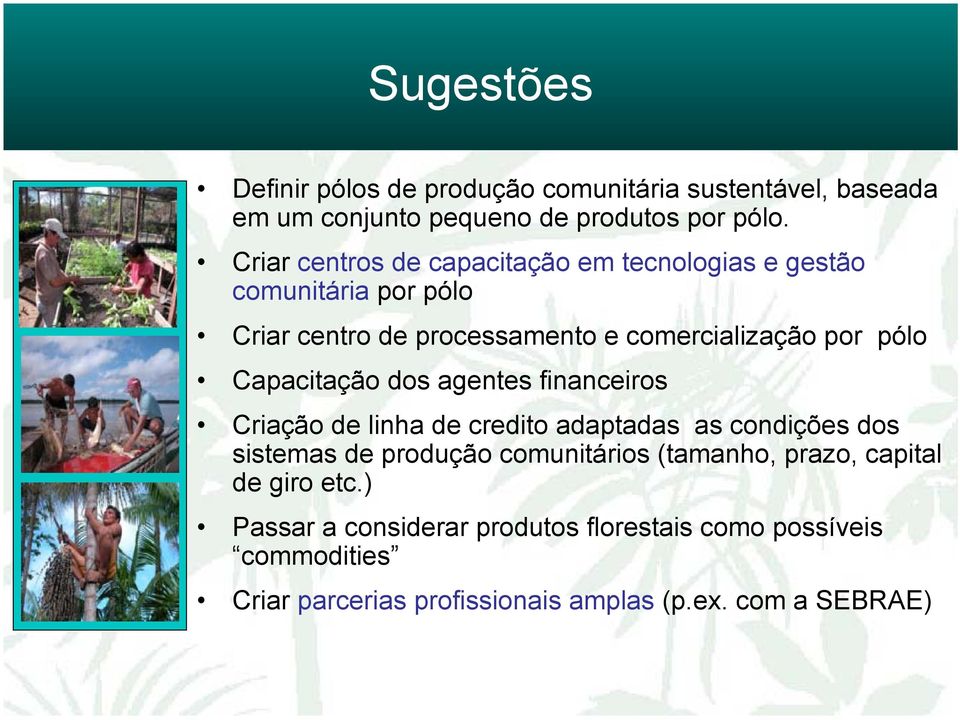 Capacitação dos agentes financeiros Criação de linha de credito adaptadas as condições dos sistemas de produção comunitários
