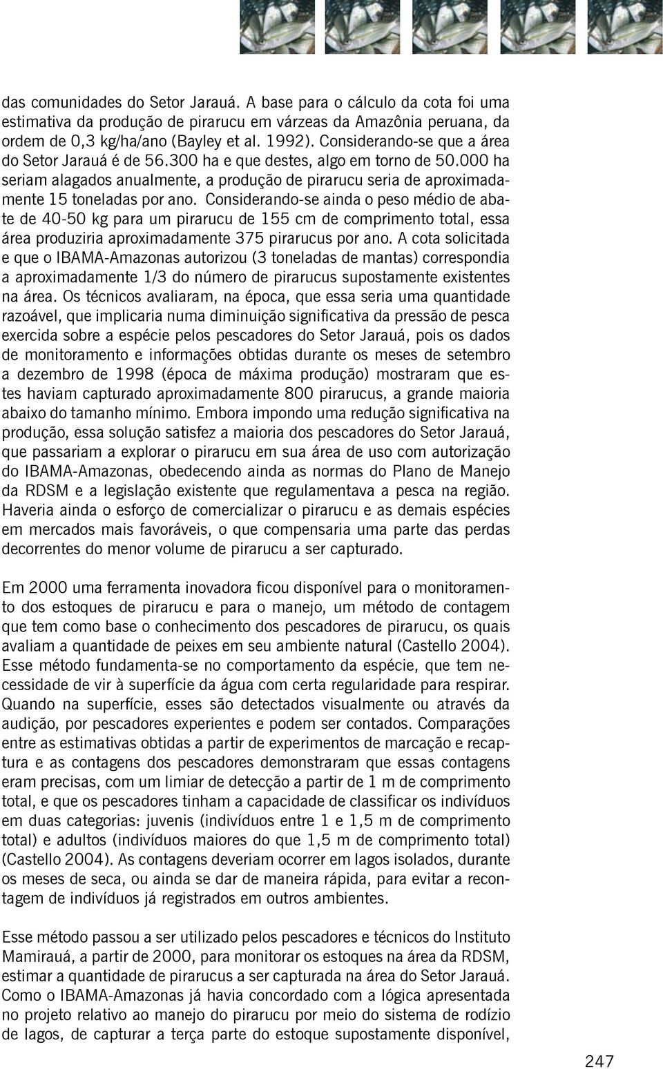 Considerando-se ainda o peso médio de abate de 40-50 kg para um pirarucu de 155 cm de comprimento total, essa área produziria aproximadamente 375 pirarucus por ano.