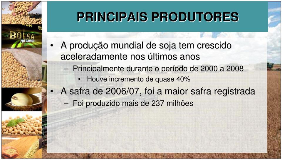 período de 2000 a 2008 Houve incremento de quase 40% A safra de