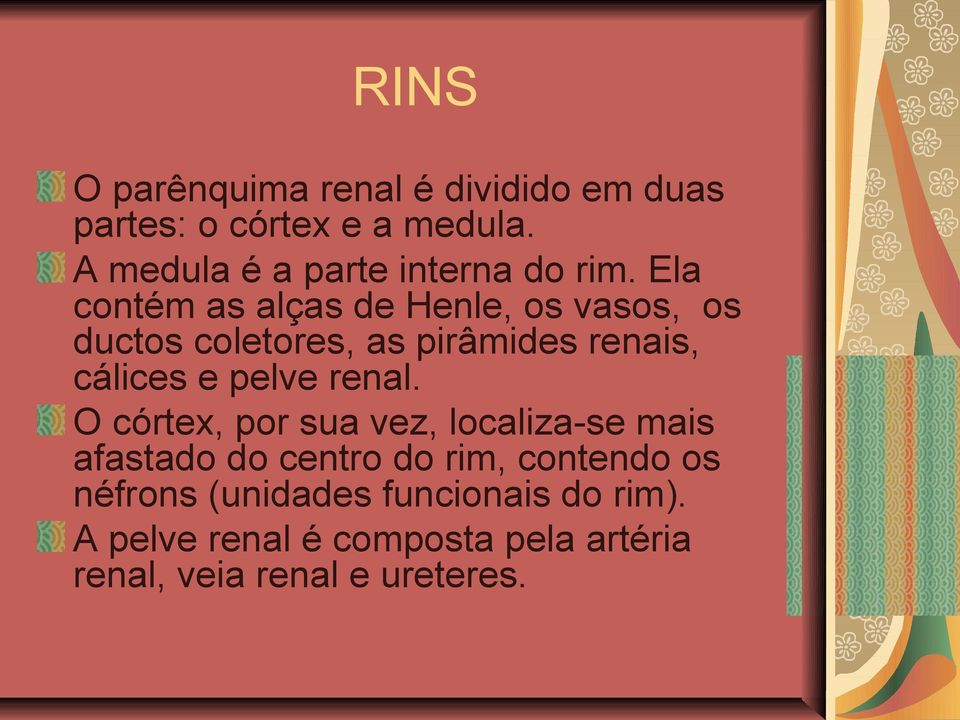 Ela contém as alças de Henle, os vasos, os ductos coletores, as pirâmides renais, cálices e pelve