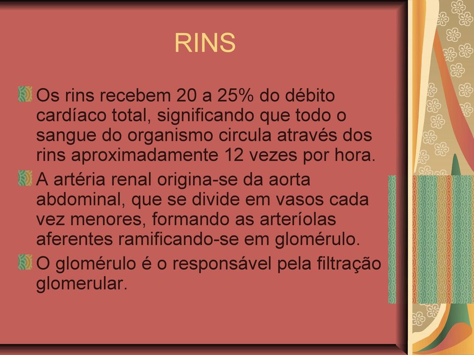 A artéria renal origina-se da aorta abdominal, que se divide em vasos cada vez menores,