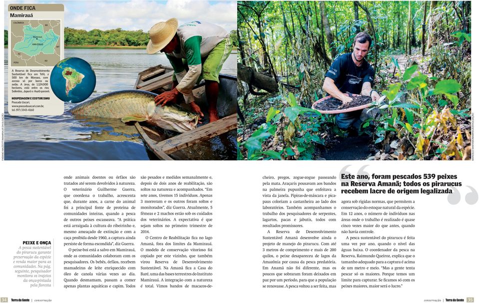 (97) 3343-4160 Fabiano mazzotti/mamirauá divulgação peixe e onça A pesca sustentável do pirarucu garante preservação da espécie e renda maior para as comunidades. Na pág.