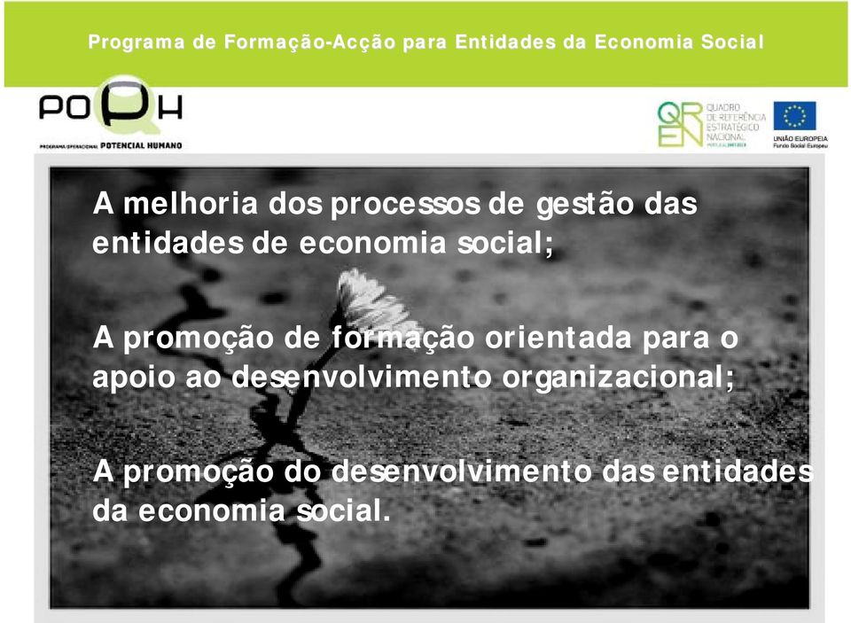 promoção de formação orientada para o apoio ao desenvolvimento