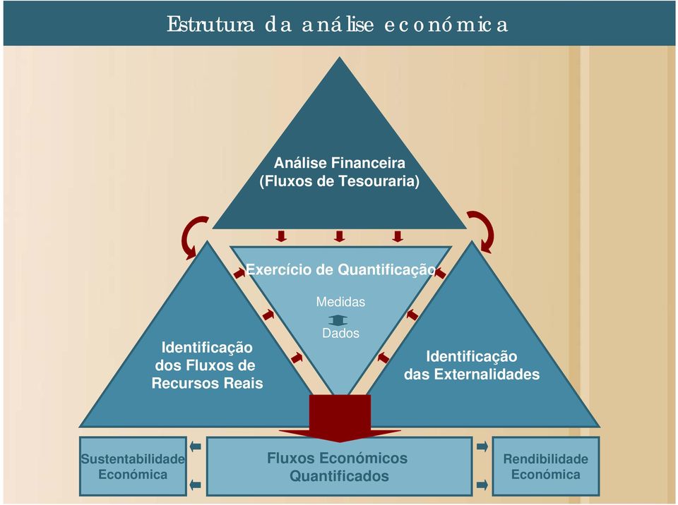 Fluxos de Recursos Reais Dados Identificação das Externalidades