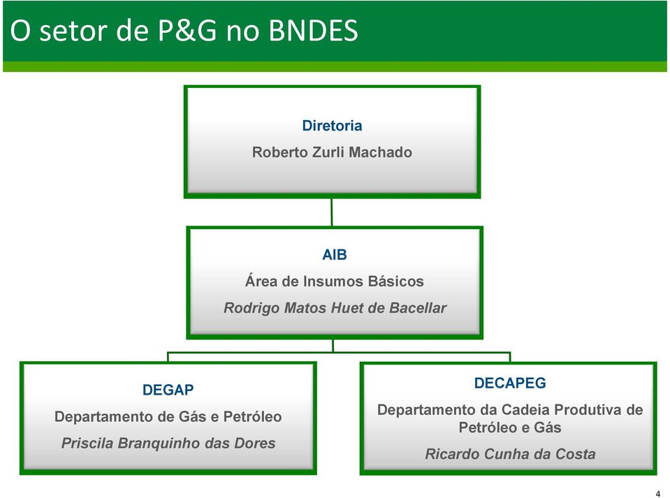 Departamento de Gás e Petróleo Priscila Branquinho das Dores