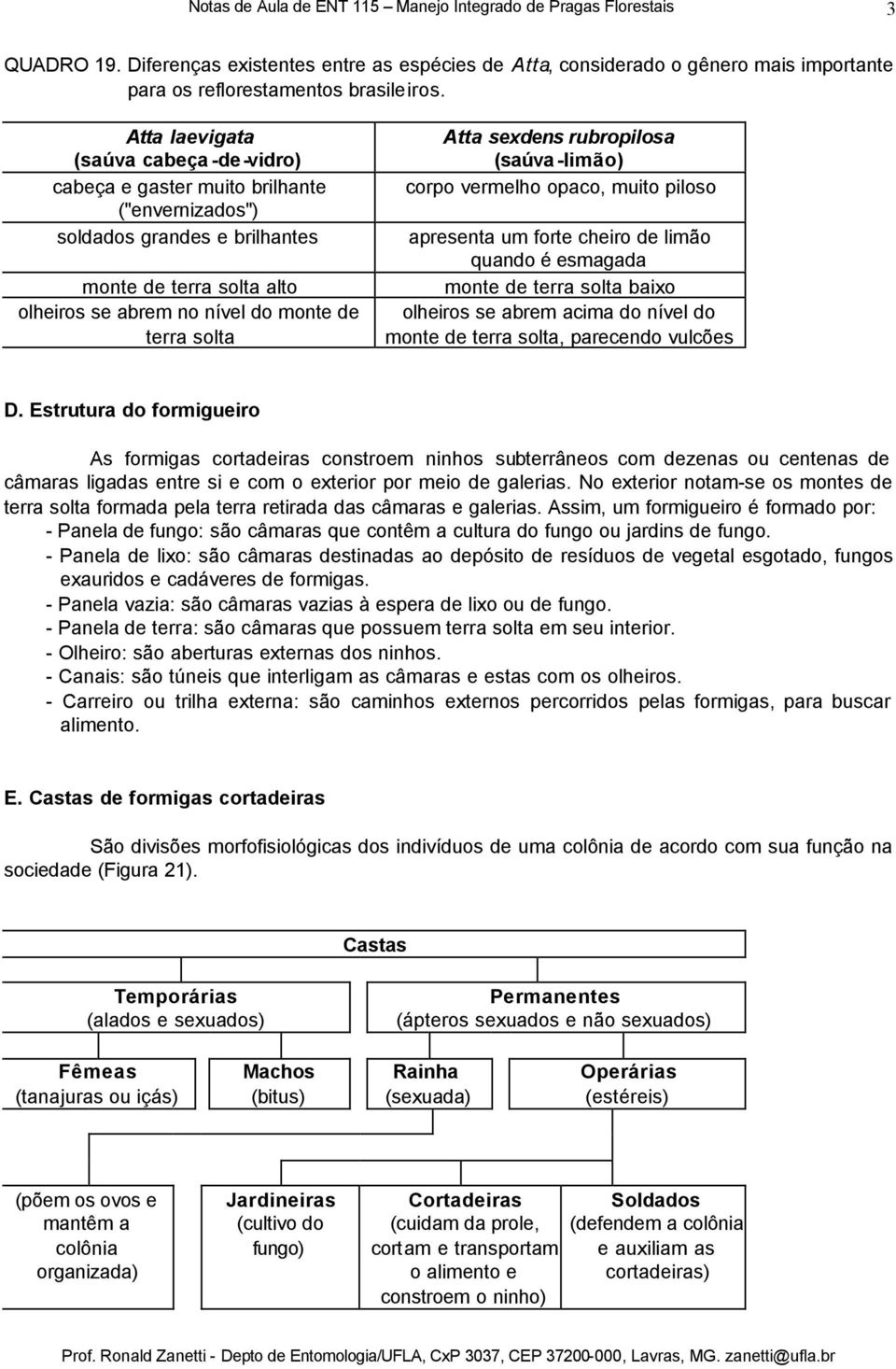 Atta sexdens rubropilosa (saúva -limão) corpo vermelho opaco, muito piloso apresenta um forte cheiro de limão quando é esmagada monte de terra solta baixo olheiros se abrem acima do nível do monte de