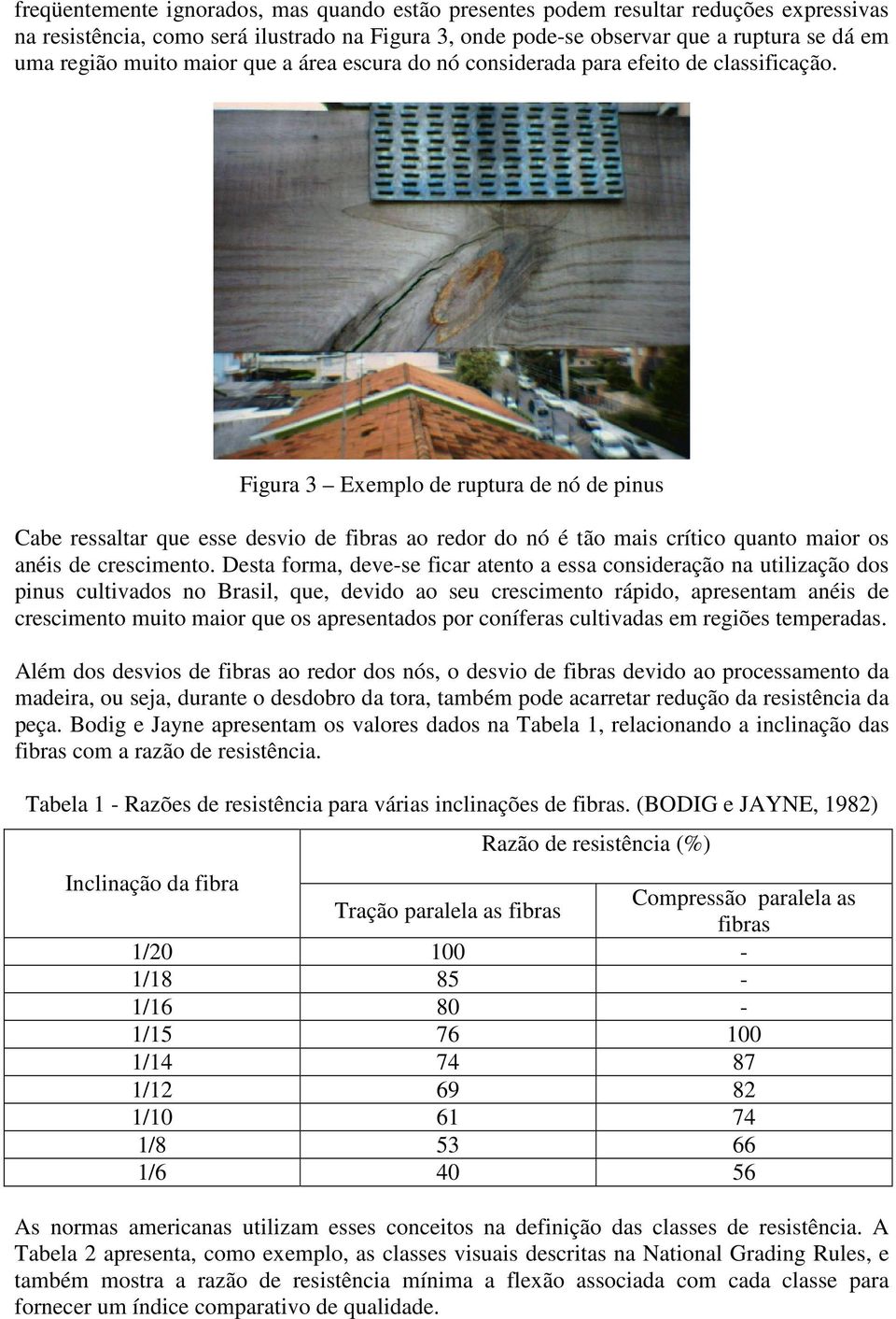 Figura 3 Exemplo de ruptura de nó de pinus Cabe ressaltar que esse desvio de fibras ao redor do nó é tão mais crítico quanto maior os anéis de crescimento.