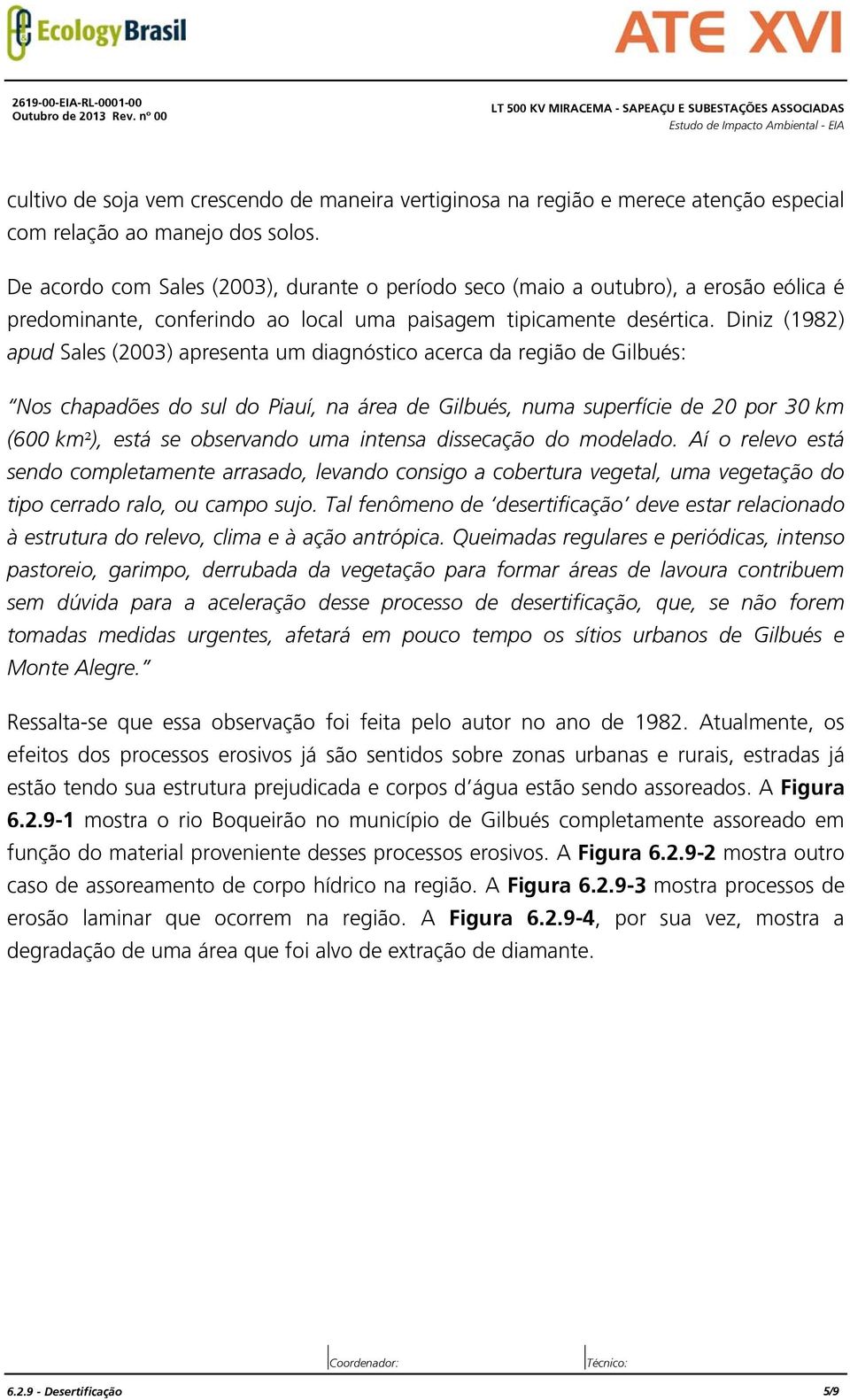 Diniz (1982) apud Sales (2003) apresenta um diagnóstico acerca da região de Gilbués: Nos chapadões do sul do Piauí, na área de Gilbués, numa superfície de 20 por 30 km (600 km²), está se observando