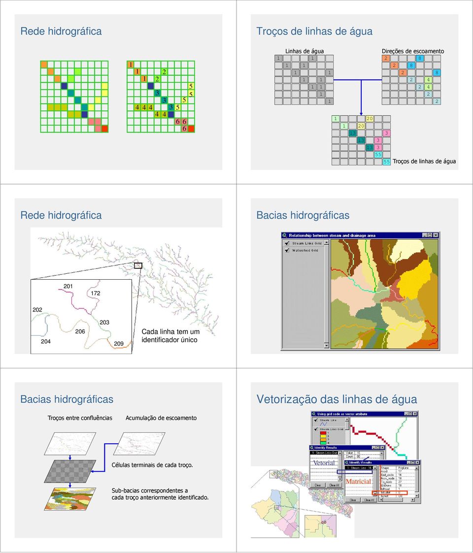 único Bacias hidrográficas Vetorização das linhas de água Troços entre confluências Acumulação de escoamento