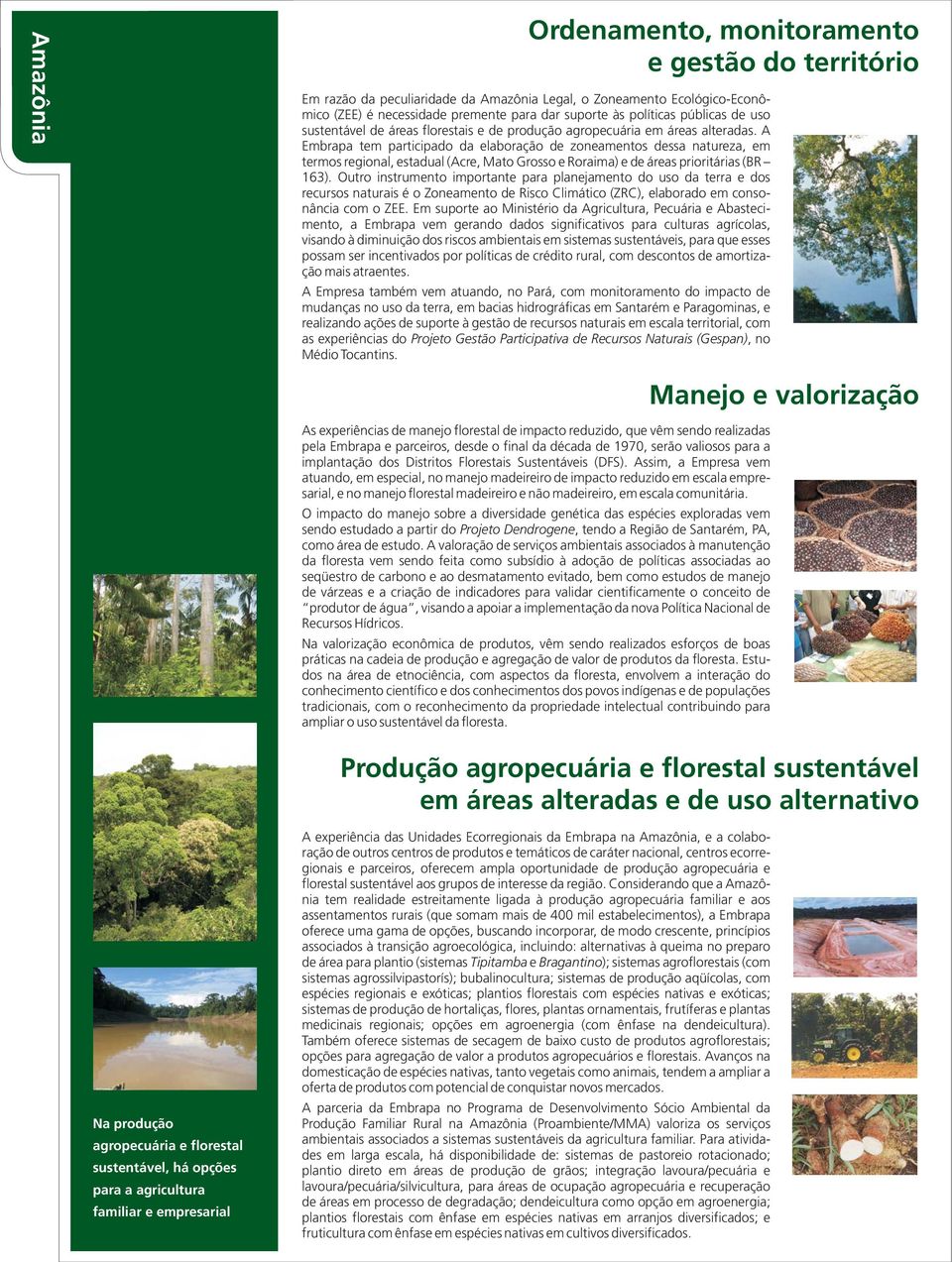 A Embrapa tem participado da elaboração de zoneamentos dessa natureza, em termos regional, estadual (Acre, Mato Grosso e Roraima) e de áreas prioritárias (BR 163).