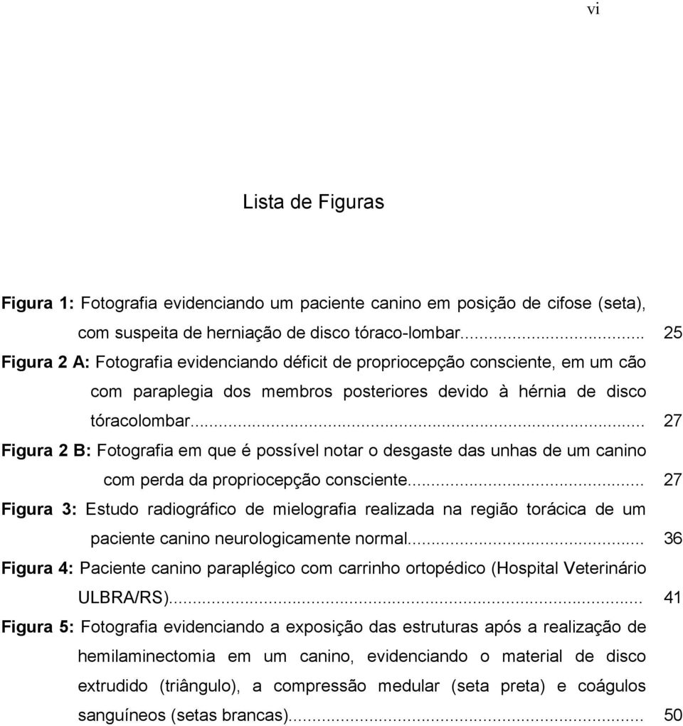 .. 27 Figura 2 B: Fotografia em que é possível notar o desgaste das unhas de um canino com perda da propriocepção consciente.