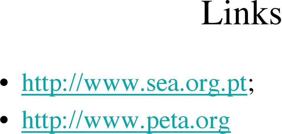 sea.org.