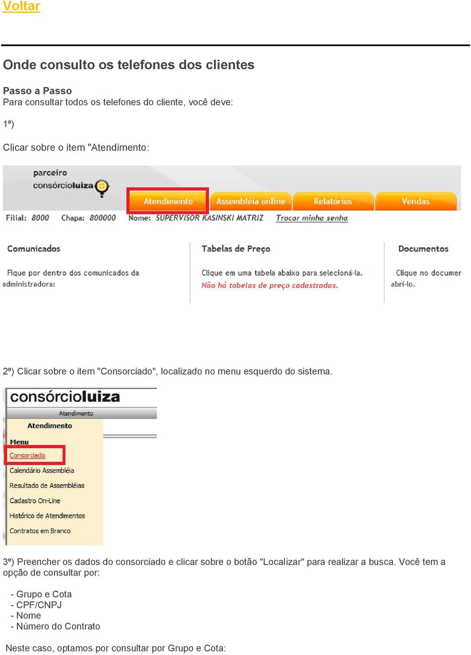 3º) Preencher os dados do consorciado e clicar sobre o botão "Localizar" para realizar a busca.