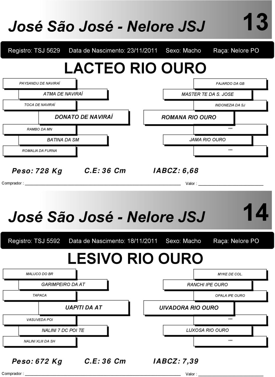 E: 36 Cm IABCZ: 6,68 14 Registro: TSJ 5592 Data de Nascimento: 18/11/2011 Sexo: Macho Raça: Nelore PO LESIVO RIO OURO MALUCO DO BR TAPACA VASUVEDA POI