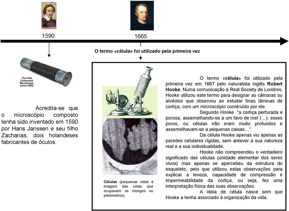 Numa comunicação à Real Society de Londres, Hooke utilizou este termo para designar as câmaras ou alvéolos que observou ao estudar finas lâminas de cortiça, com um microscópio construído por ele.