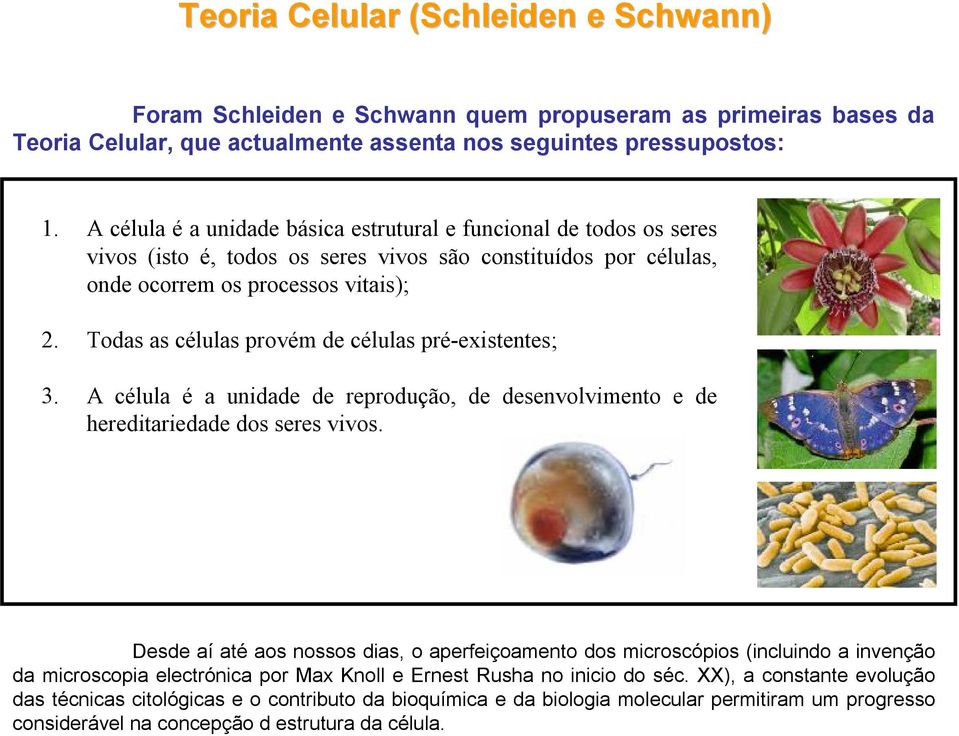 Todas as células provém de células pré-existentes; 3. A célula é a unidade de reprodução, de desenvolvimento e de hereditariedade dos seres vivos.