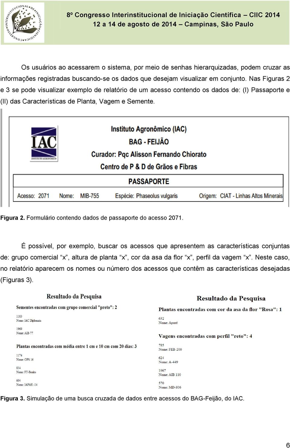 Formulário contendo dados de passaporte do acesso 2071.