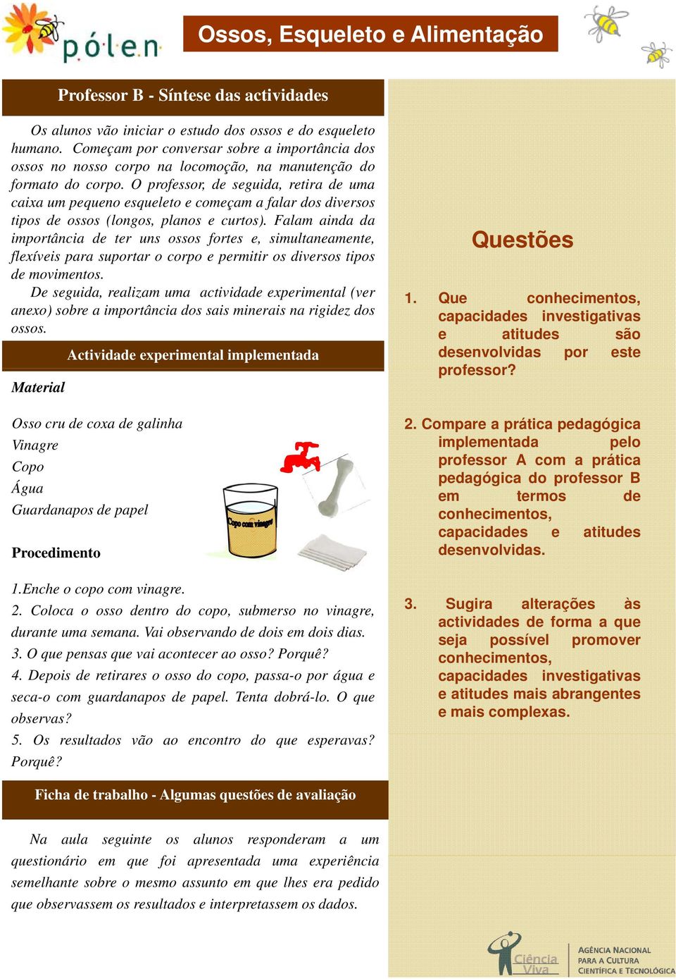 O professor, de seguida, retira de uma caixa um pequeno esqueleto e começam a falar dos diversos tipos de ossos (longos, planos e curtos).