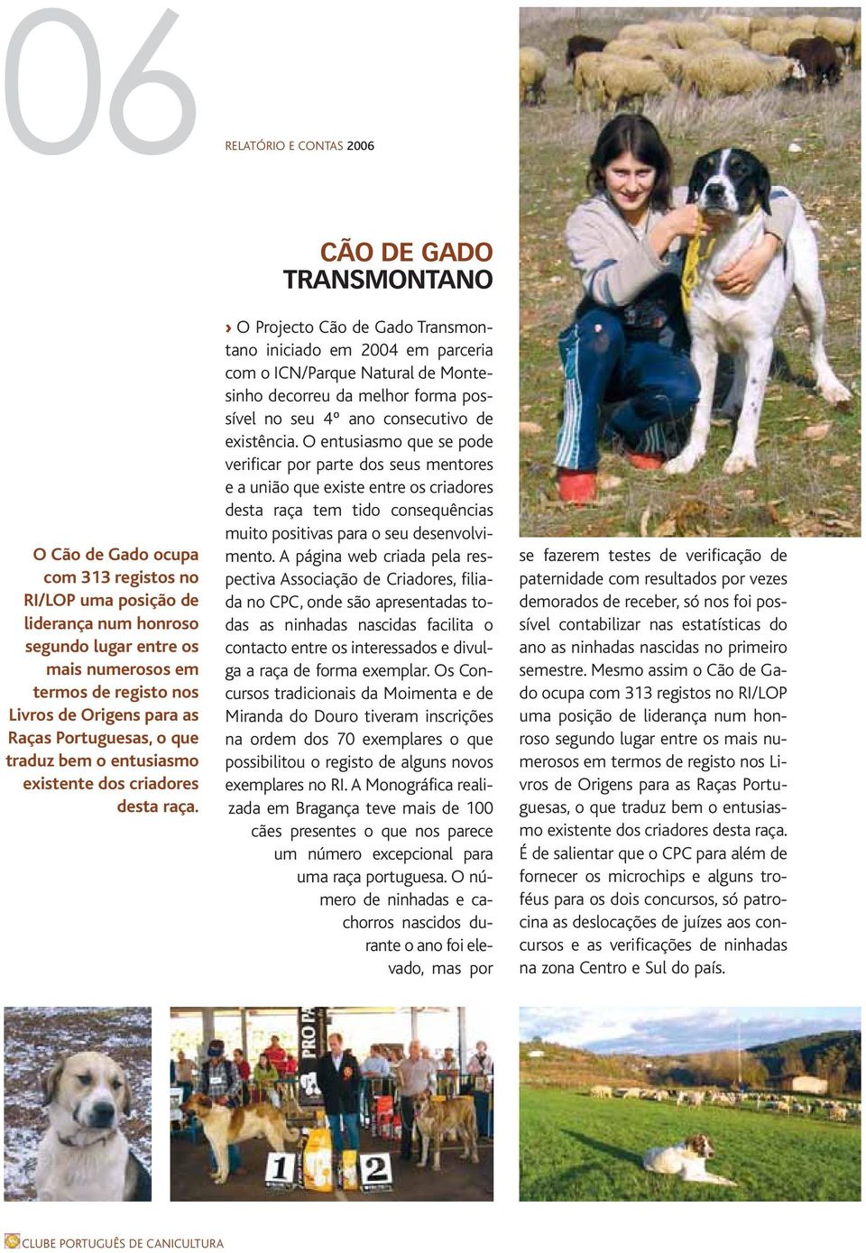 CÃO DE GADO TRANSMONTANO O Projecto Cão de Gado Transmontano iniciado em 2004 em parceria com o ICN/Parque Natural de Montesinho decorreu da melhor forma possível no seu 4º ano consecutivo de