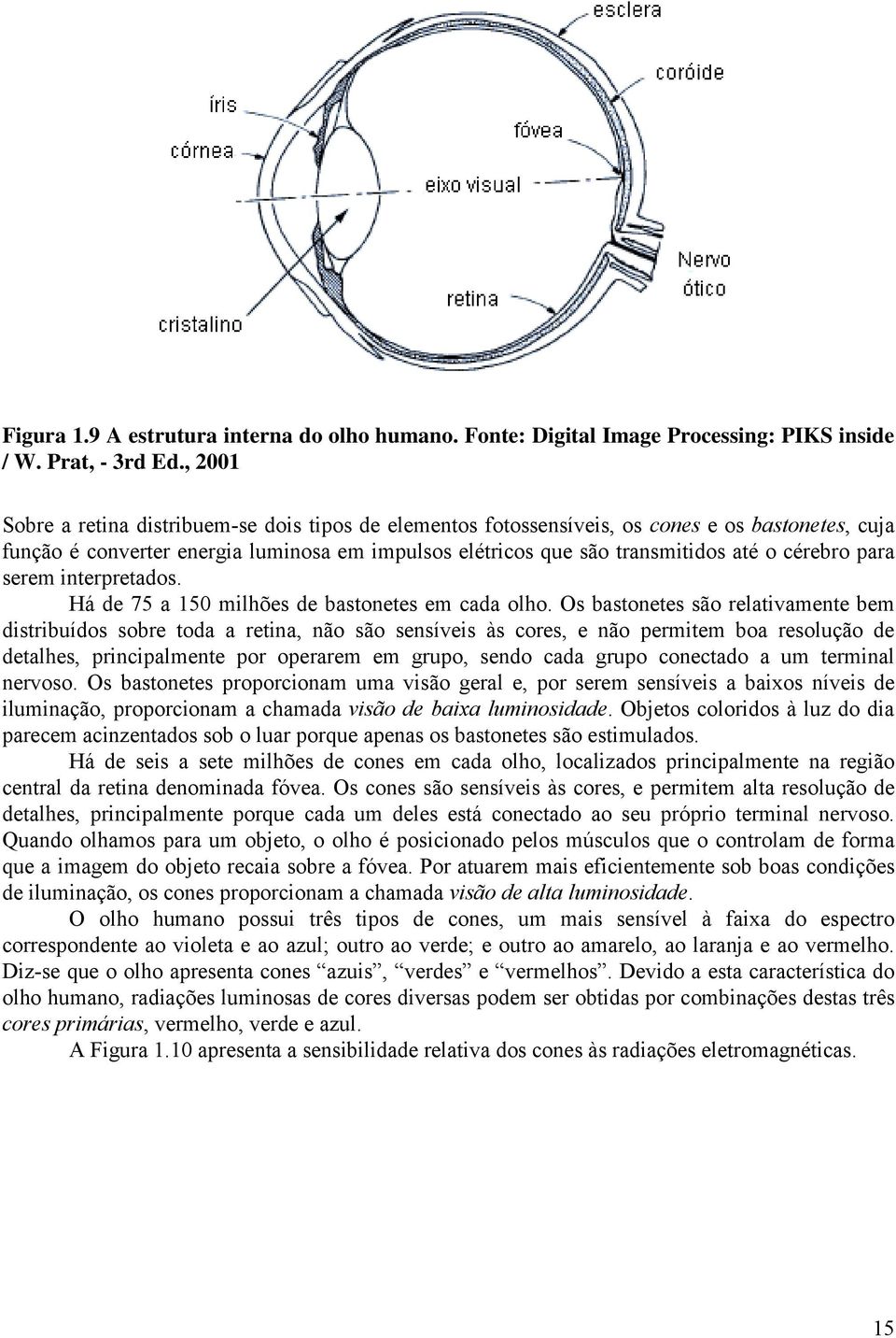 para serem interpretados. Há de 75 a 5 milhões de bastonetes em cada olho.