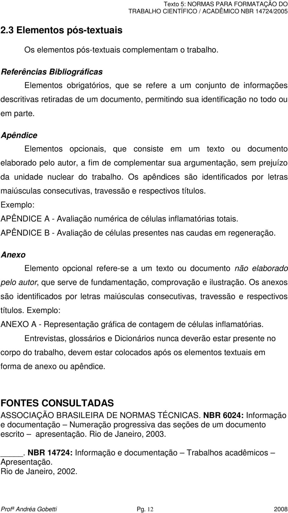 Apêndice Elementos opcionais, que consiste em um texto ou documento elaborado pelo autor, a fim de complementar sua argumentação, sem prejuízo da unidade nuclear do trabalho.