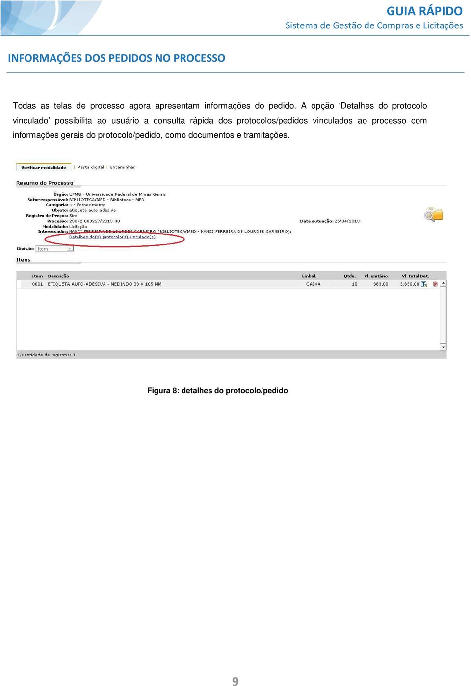 A opção Detalhes do protocolo vinculado possibilita ao usuário a consulta rápida dos