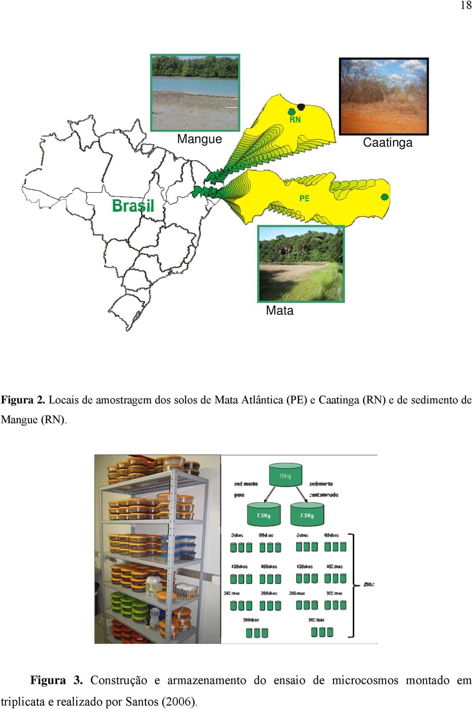 Caatinga (RN) e de sedimento de Mangue (RN). Figura 3.