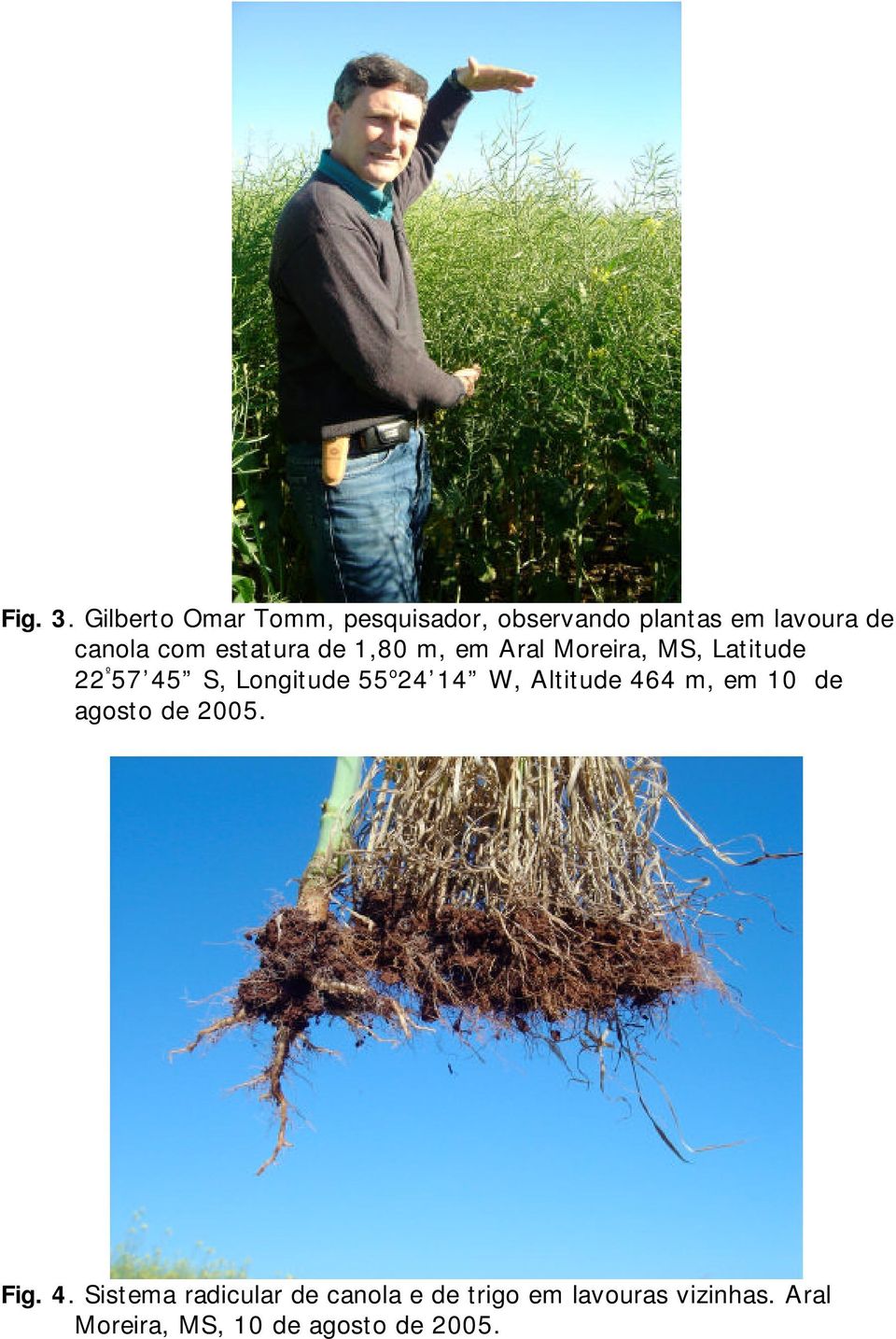 estatura de 1,80 m, em Aral Moreira, MS, Latitude 22 º 57 45 S, Longitude 55 o