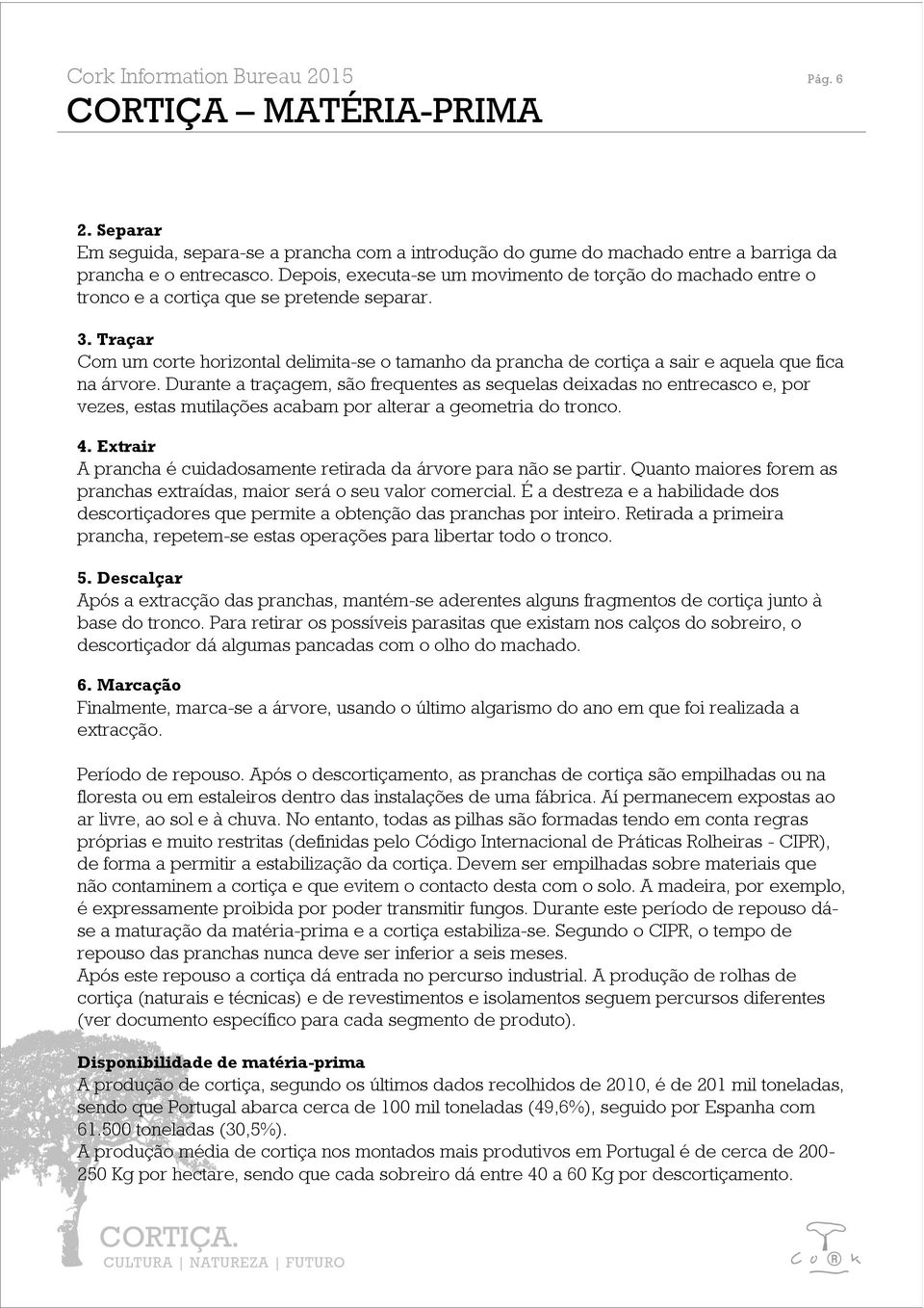 Traçar Com um corte horizontal delimita-se o tamanho da prancha de cortiça a sair e aquela que fica na árvore.