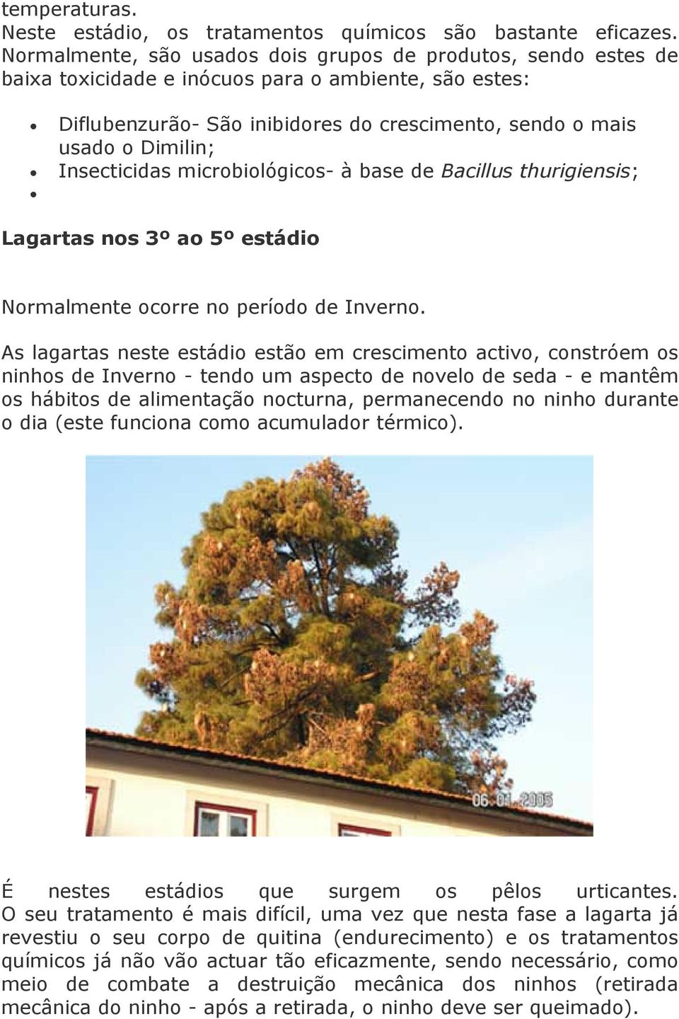 Insecticidas microbiológicos- à base de Bacillus thurigiensis; Lagartas nos 3º ao 5º estádio Normalmente ocorre no período de Inverno.