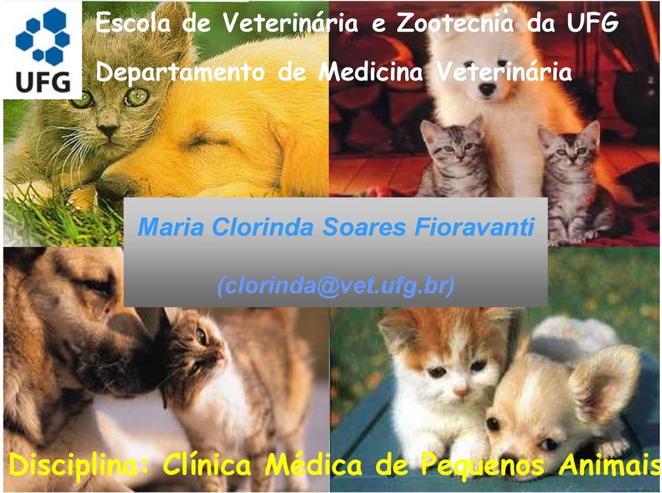 Clorinda Soares Fioravanti (clorinda@vet.ufg.
