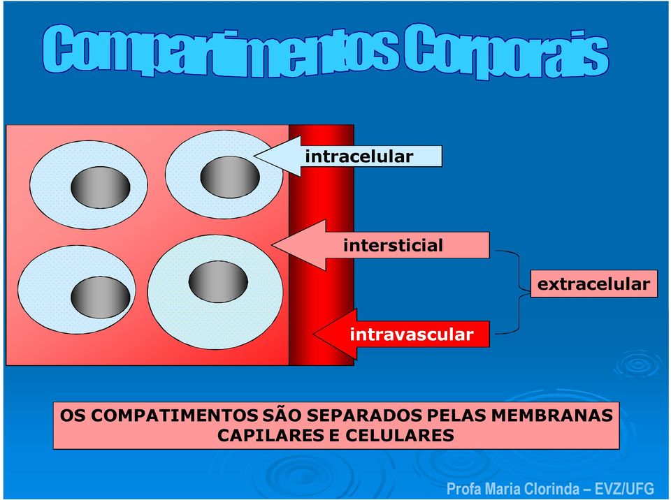 COMPATIMENTOS SÃO SEPARADOS