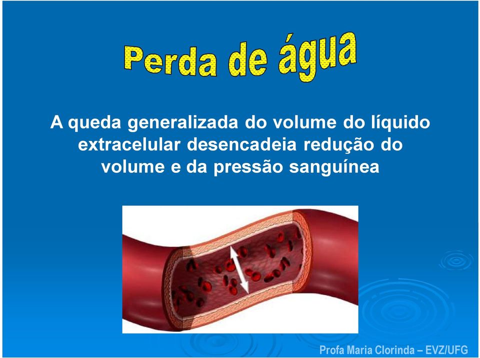 extracelular desencadeia