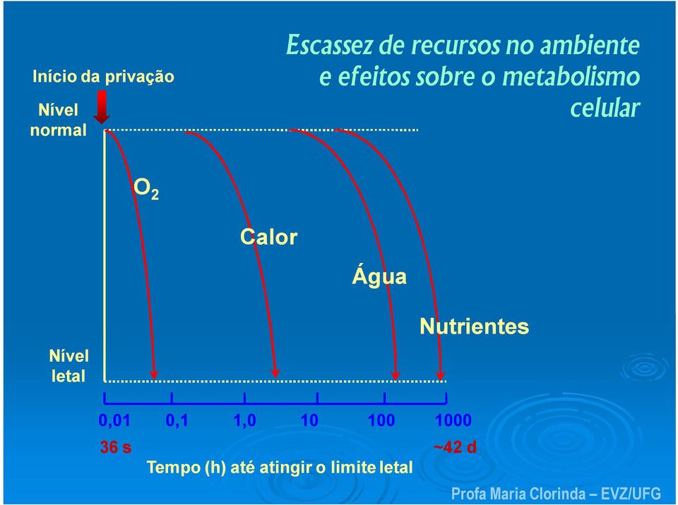 Calor Água Nível letal Nutrientes 0,01 0,1 1,0 10 100