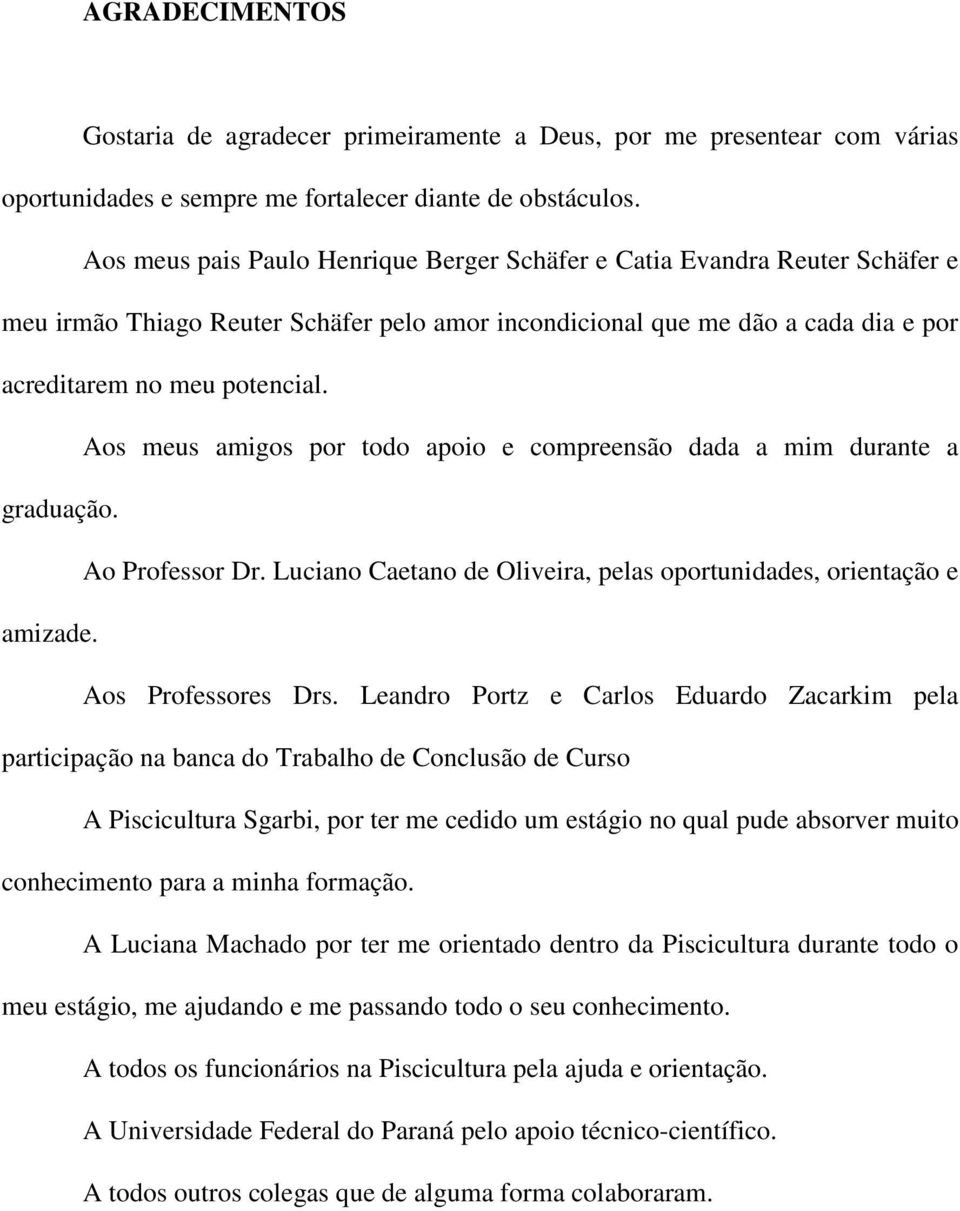 Aos meus amigos por todo apoio e compreensão dada a mim durante a graduação. Ao Professor Dr. Luciano Caetano de Oliveira, pelas oportunidades, orientação e amizade. Aos Professores Drs.