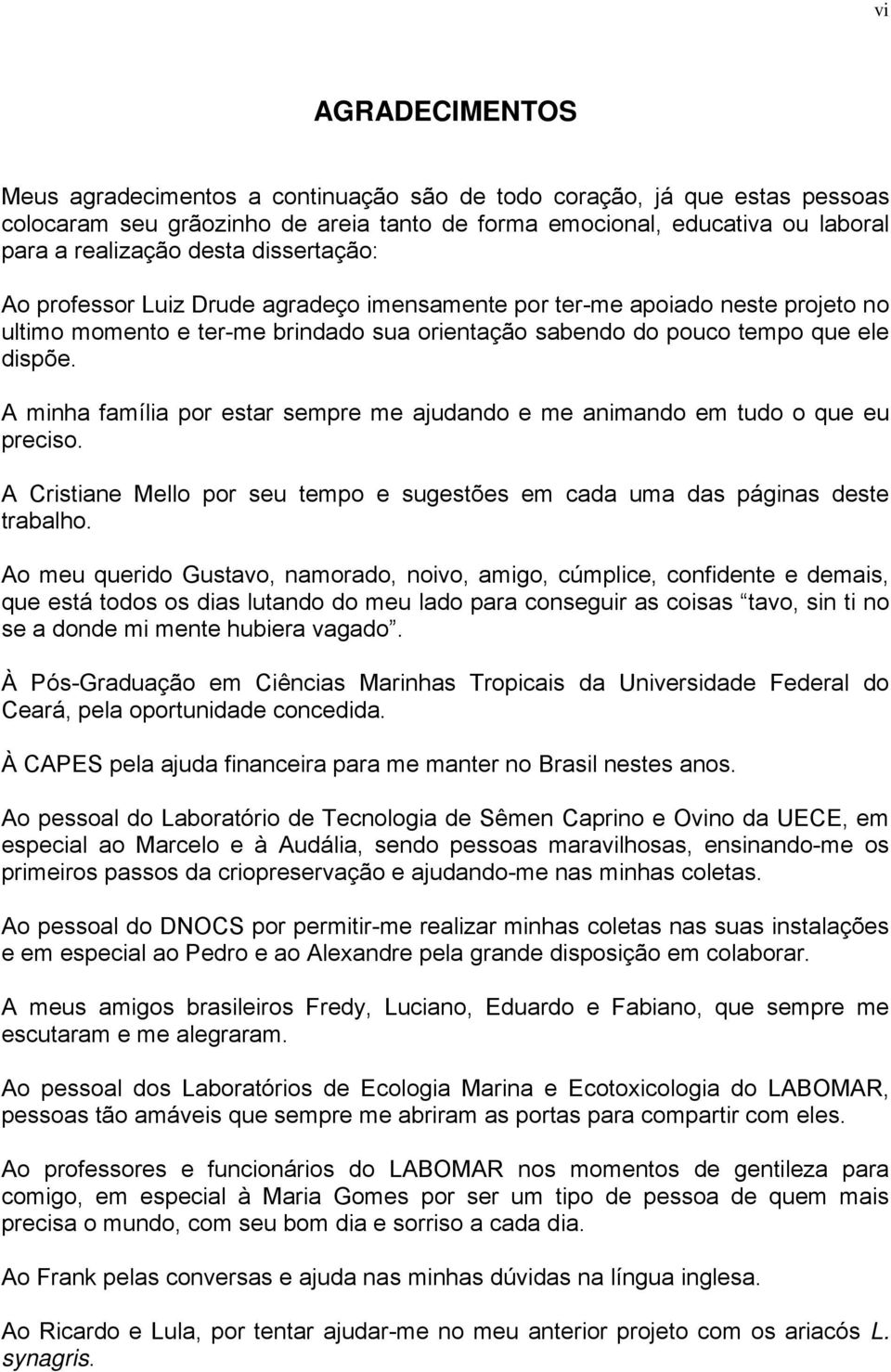 A minha família por estar sempre me ajudando e me animando em tudo o que eu preciso. A Cristiane Mello por seu tempo e sugestões em cada uma das páginas deste trabalho.