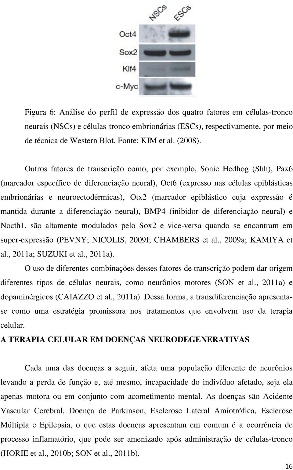 Outros fatores de transcrição como, por exemplo, Sonic Hedhog (Shh), Pax6 (marcador específico de diferenciação neural), Oct6 (expresso nas células epiblásticas embrionárias e neuroectodérmicas),