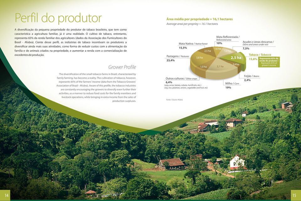 O cultivo de tabaco, entretanto, representa 65% da renda familiar dos agricultores (dados da Associação dos Fumicultores do Brasil - Afubra).