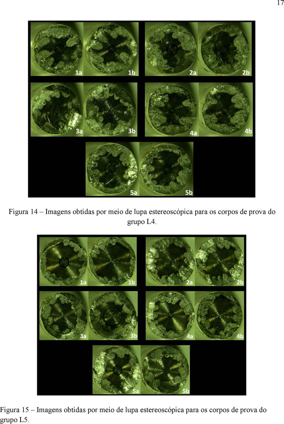 L4. Figura 15 Imagens obtidas por meio de lupa 