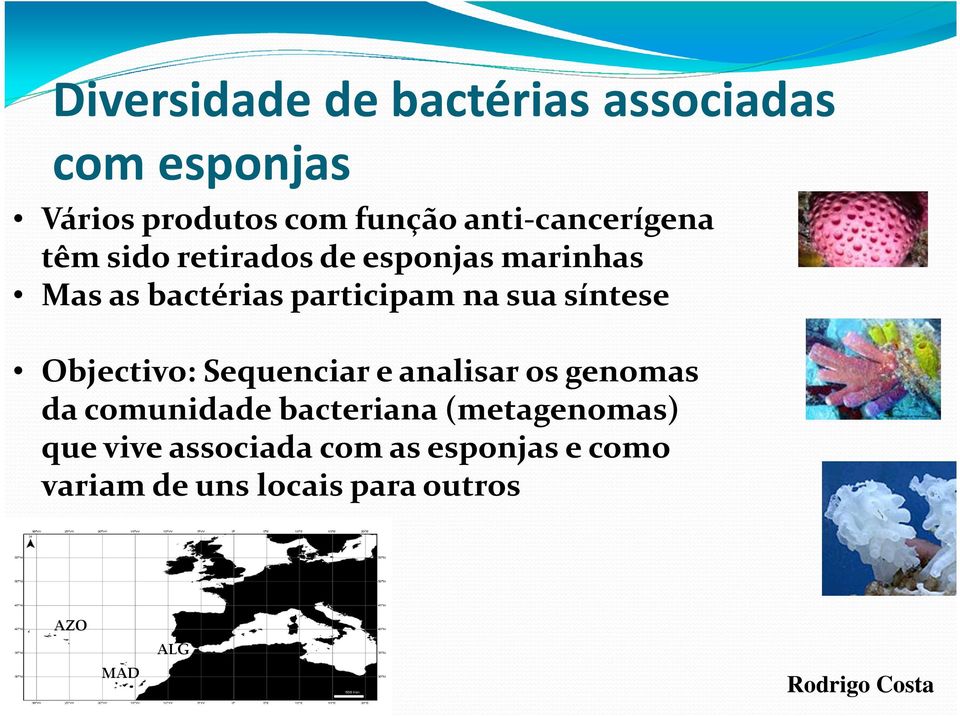 sua síntese Objectivo: Sequenciar e analisar os genomas da comunidade bacteriana