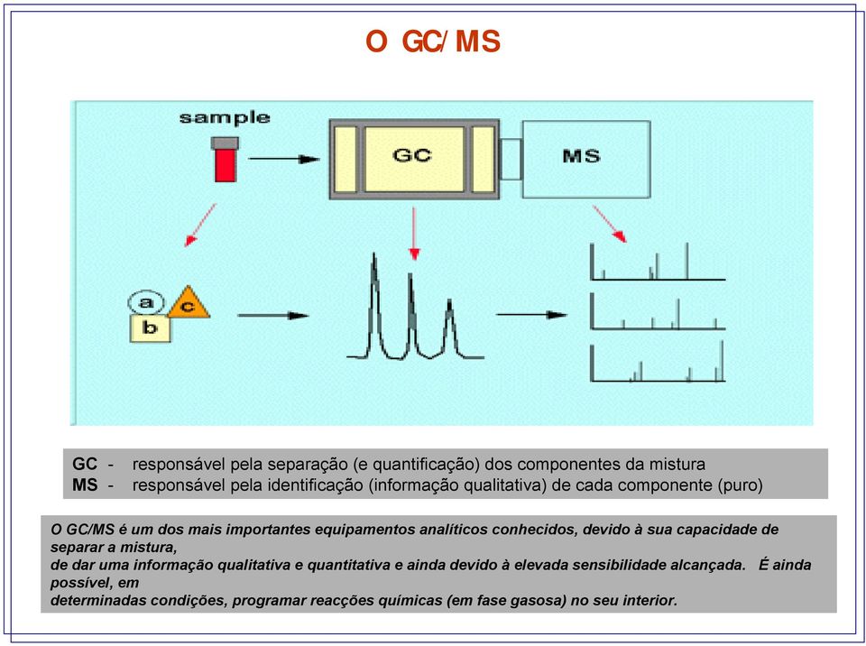 devido à sua capacidade de separar a mistura, de dar uma informação qualitativa e quantitativa e ainda devido à elevada