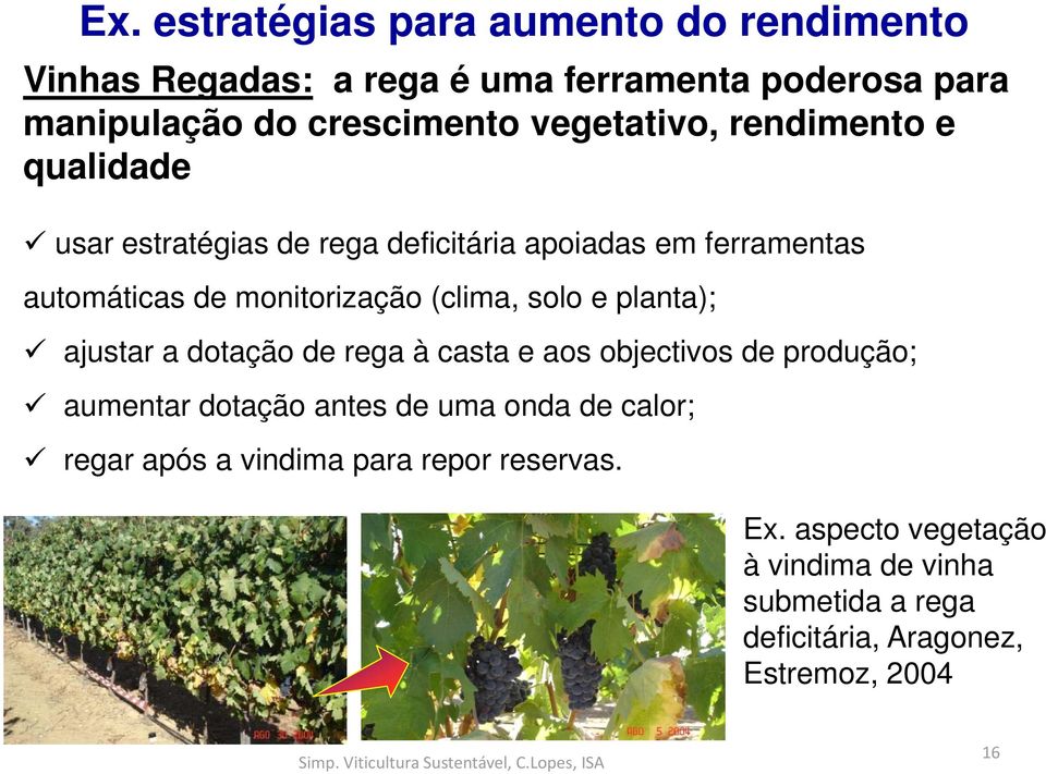 (clima, solo e planta); ajustar a dotação de rega à casta e aos objectivos de produção; aumentar dotação antes de uma onda de