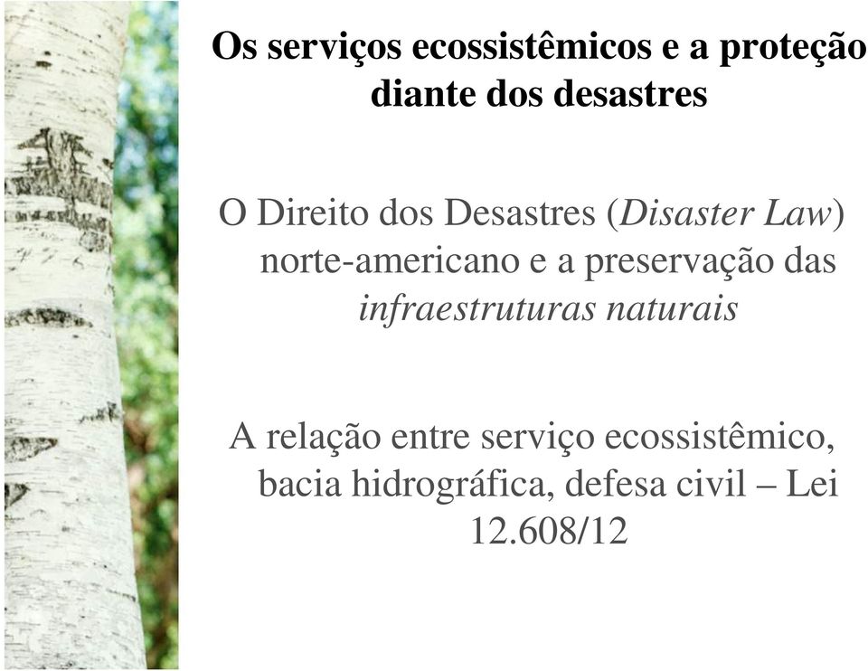 preservação das infraestruturas naturais A relação entre