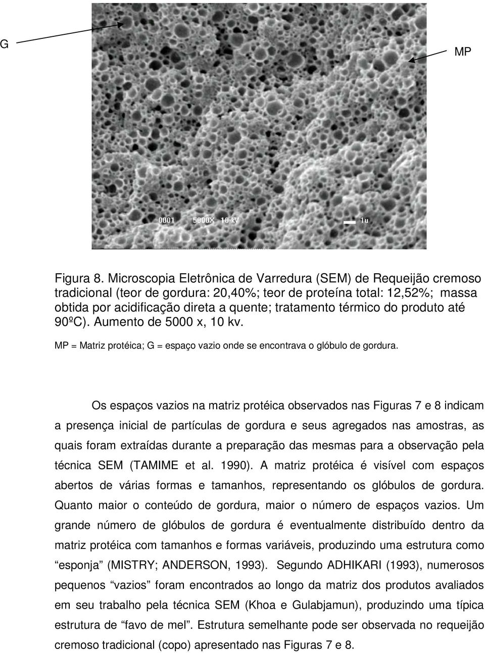 do produto até 90ºC). Aumento de 5000 x, 10 kv. MP = Matriz protéica; G = espaço vazio onde se encontrava o glóbulo de gordura.