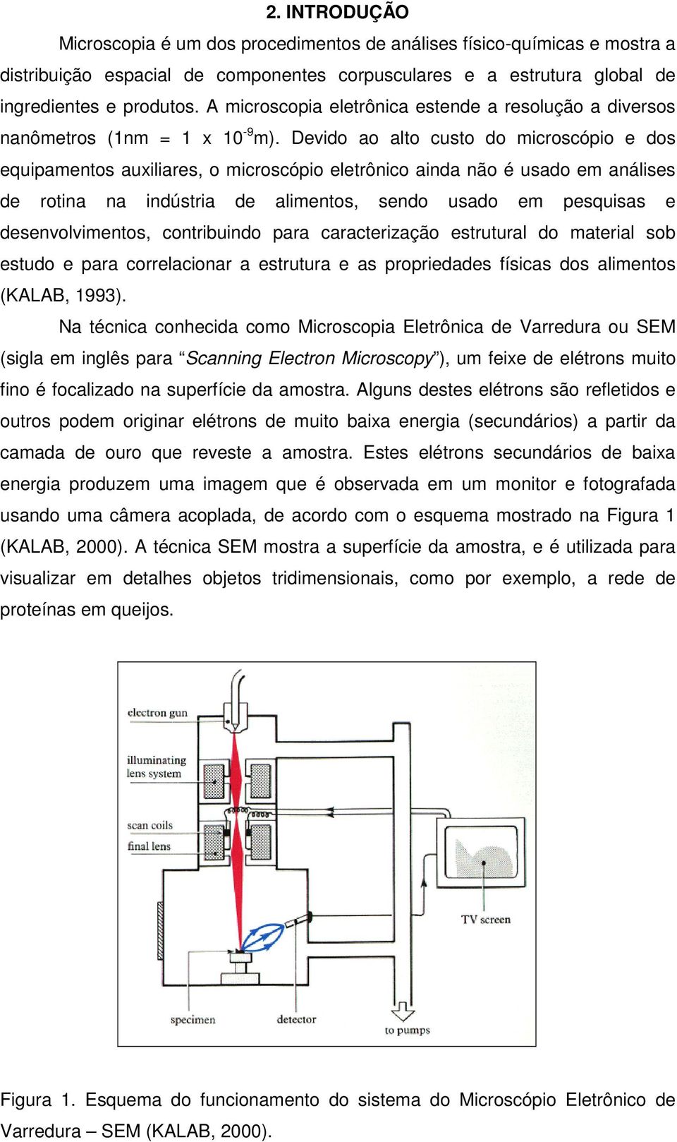 Devido ao alto custo do microscópio e dos equipamentos auxiliares, o microscópio eletrônico ainda não é usado em análises de rotina na indústria de alimentos, sendo usado em pesquisas e