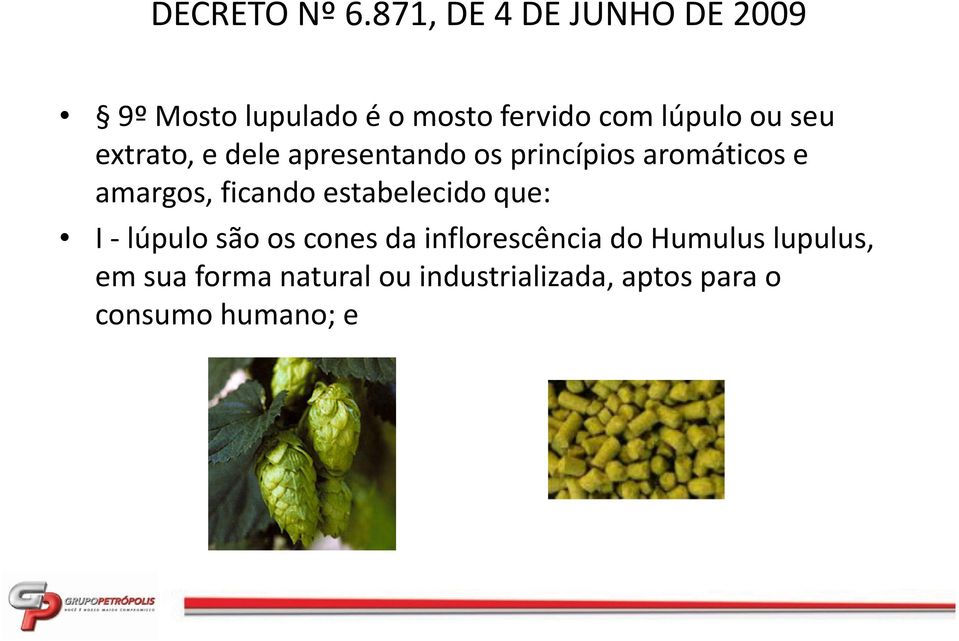 que: I - lúpulo são os cones da inflorescência do Humulus lupulus, em