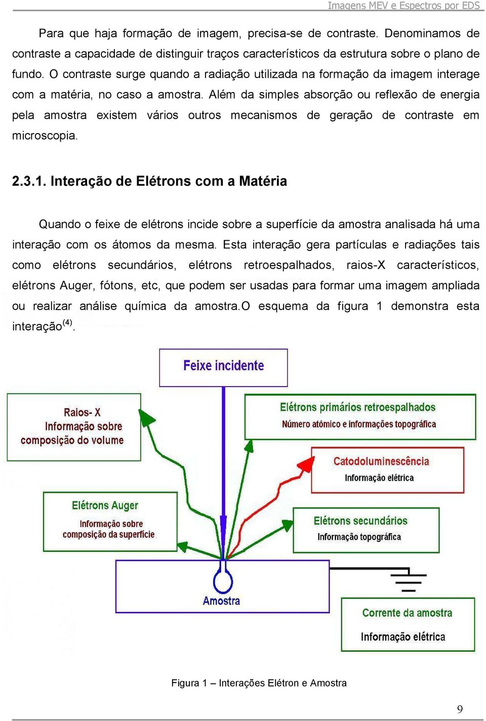 Além da simples absorção ou reflexão de energia pela amostra existem vários outros mecanismos de geração de contraste em microscopia. 2.3.1.