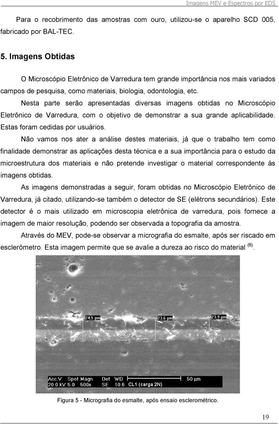 Nesta parte serão apresentadas diversas imagens obtidas no Microscópio Eletrônico de Varredura, com o objetivo de demonstrar a sua grande aplicabilidade. Estas foram cedidas por usuários.