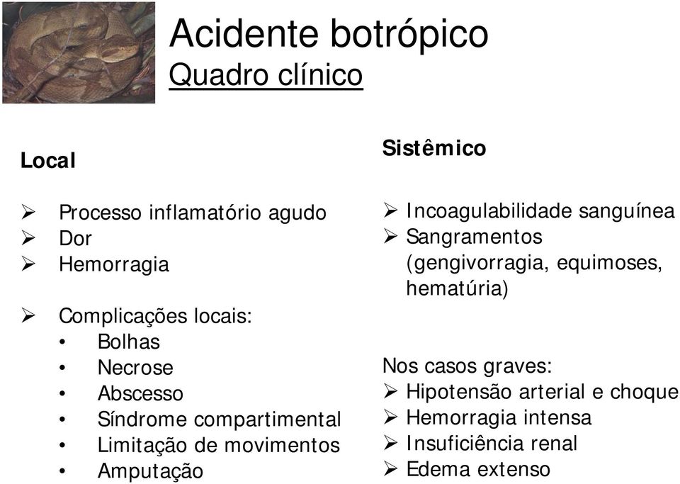 Amputação Sistêmico Incoagulabilidade sanguínea Sangramentos (gengivorragia, equimoses,