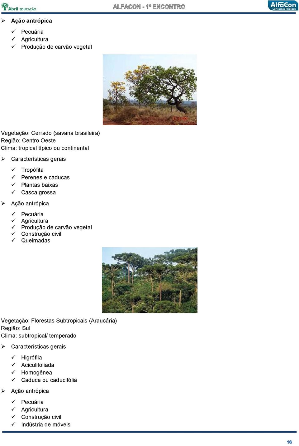 Produção de carvão vegetal Construção civil Queimadas Vegetação: Florestas Subtropicais (Araucária) Região: Sul Clima: subtropical/ temperado